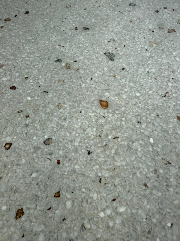 Project in beeld: Maatwerk terrazzo blad met schelpen